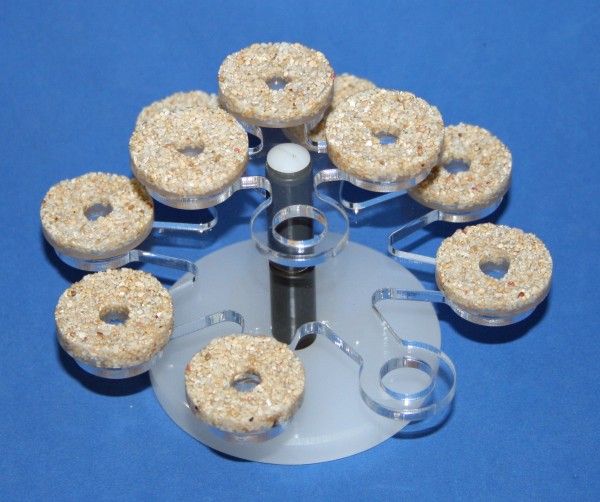 Coral Rack T mit 12 Reefpugs