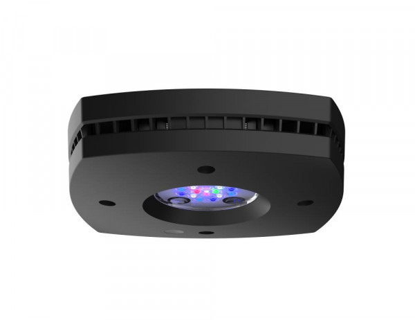 AI Prime 16HD Reef schwarz