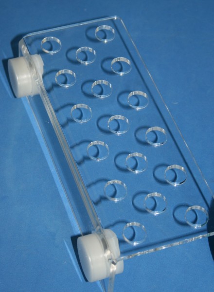 Coral Rack XS bis 15mm Glasdicke