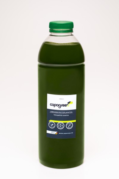 Phytoplankton Tetraselmis suecica 1000 ml
