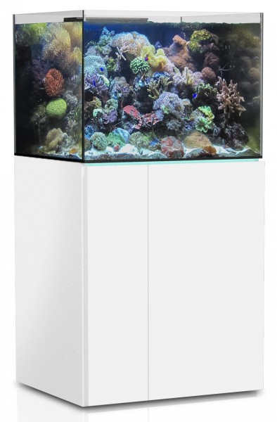 Armatus 300 XD weiß