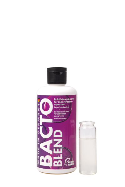 Bacto Blend 250 ml All in One Bakterien für Riffaquarien