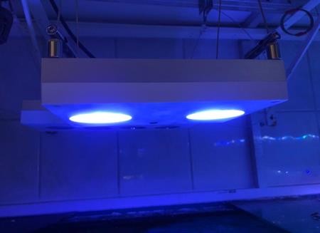 IMG-20200313-WA0057-Copy