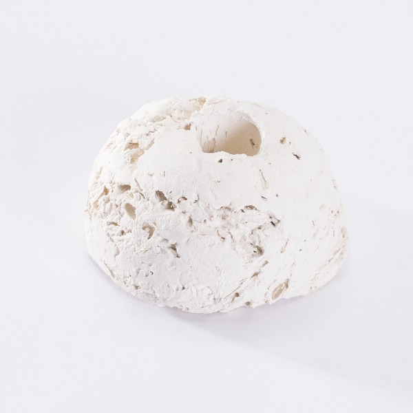 Arka Ablegerstein rund groß 100 Stück