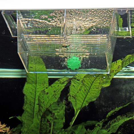 JBL BabyHome proAir - Ablaichkasten für Sprudelsteininstallation