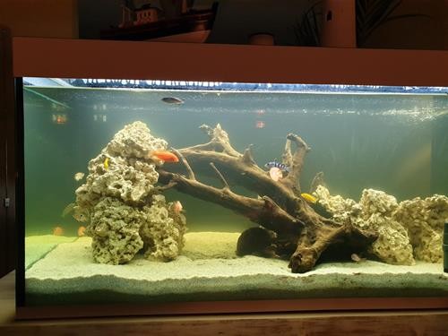 IMG-20191203-WA0001-Copy