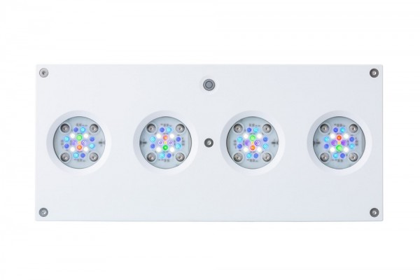 AI Hydra HD 64 LED weiß