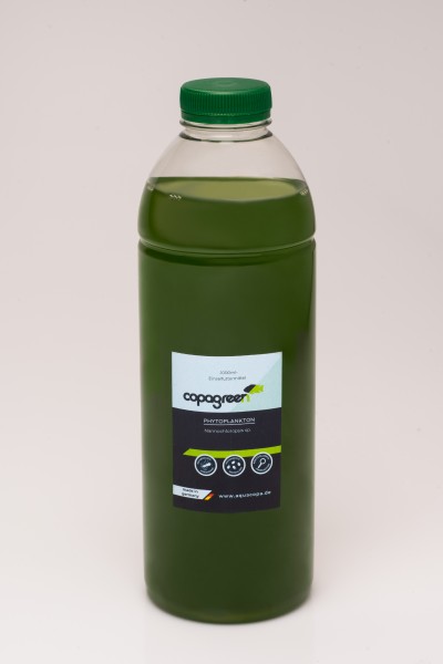 Phytoplankton Nannochloropsis sp. 1000 ml