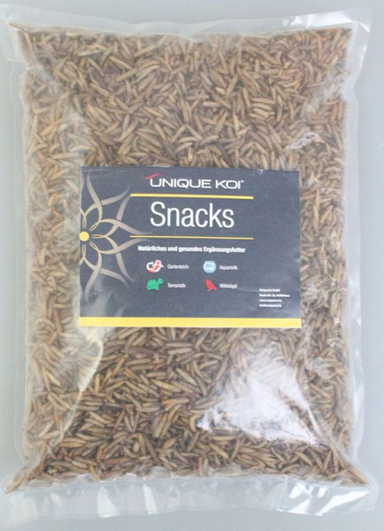 Hermetia-Larven 2500ml